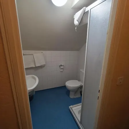 Chez Marie Et Didier 1 Minute A Pied Du Sanctuaire De 3* Lourdes